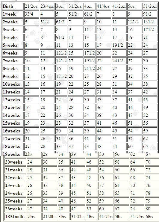 Shih Tzu Weight Growth Chart